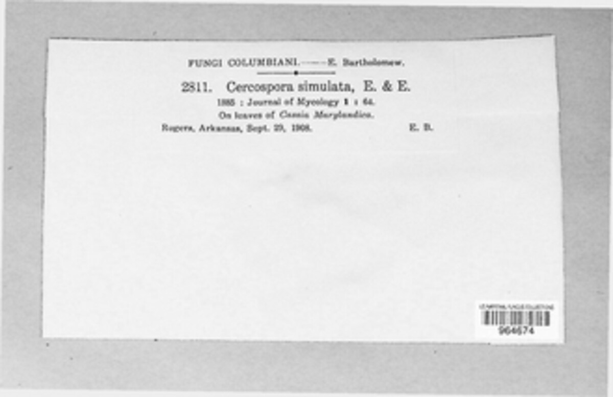 Passalora simulata image